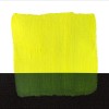 ICS GIALLO FLUOR. 60ML